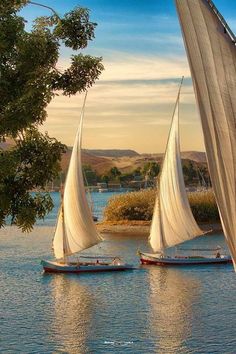 – Aswan: Philae, High Dam & Felucca Ride