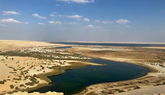 Fayoum to Cairo